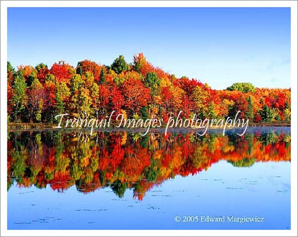 450244---Mirror reflections on Halfmoon Lake, Hiawatha National Forest. - Copy